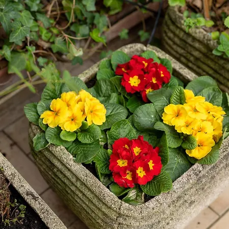 La Casa Dell'artista 로마