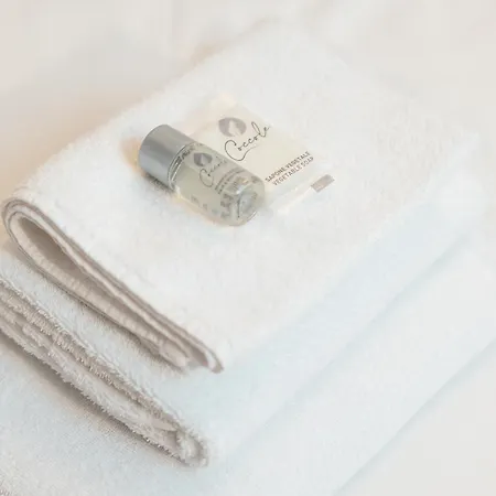 La Casa Dell'artista *